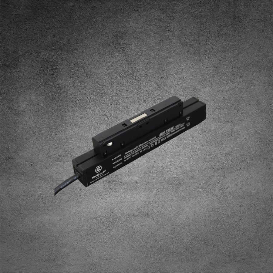 Nguồn đúc ray nam châm 48VDC-100W